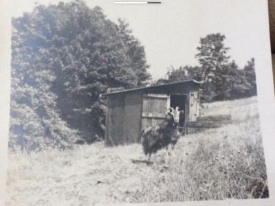 IMG_8075.jpeg