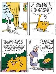 catguarding.jpg