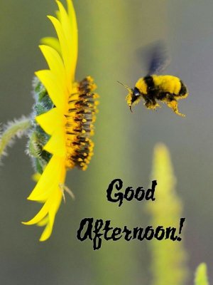 46702c526617eeb45cd8d7e7ed2e4be5[1].jpg