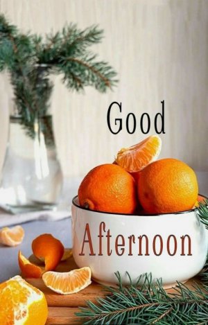 14a71db8391d93cdd4de546ca1cf31e5[1].jpg