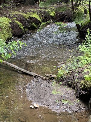 IMG_4957.jpeg