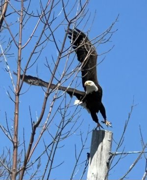 IMG_6390.jpeg