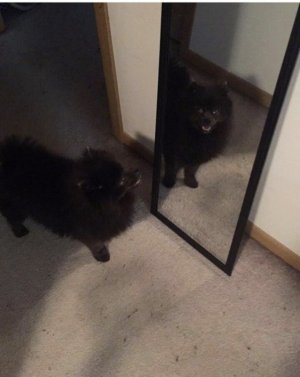 Two Bears 2.jpg