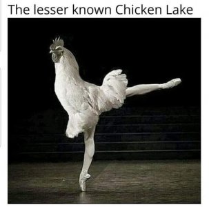 449641319_890331983111678_8386754735561934278_n.jpg