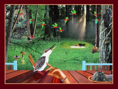 Miras Kookaburra-800.jpg