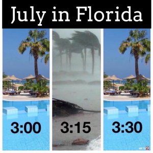 IMG_8094.jpeg