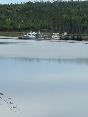 IMG_7069.jpeg