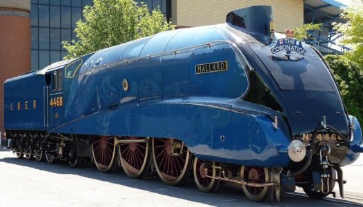 Mallard.JPG