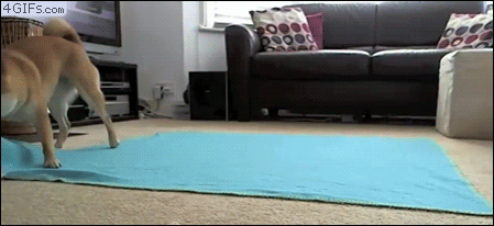 4gifscom-000-doodg.gif