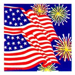 flags&fireworks.jpg