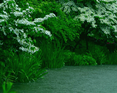 tumblr_3d4e15ee094999d6e65b303f0b73f65d_165a7f68_540.gif