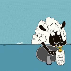 animalgif.gif