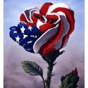 f6557e7dc74844cb86de2c21e3641a55[1].jpg