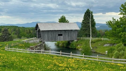 955.jpg