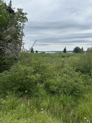 IMG_4996.jpeg