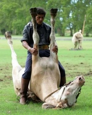 Messenger_creation_34ffbb25-8f9d-492f-bd8e-abc4e1d6fb2e.jpeg