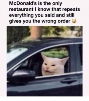 IMG_8123.jpeg