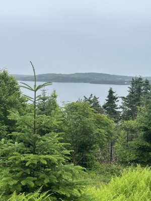 IMG_5012.jpeg