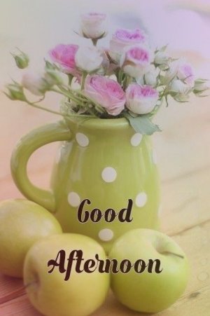 5a6bea2b6dd18c16382c1eb6cf62ae24[1].jpg