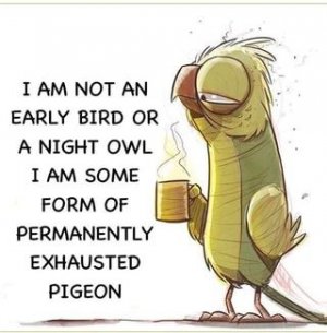 exhaustedpigeon.jpg