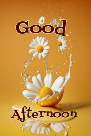 cbb2e6b1674f64a5f7bca850bbdeb71a[1].jpg
