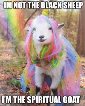 goat.jpg