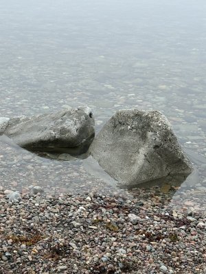 IMG_5055.jpeg