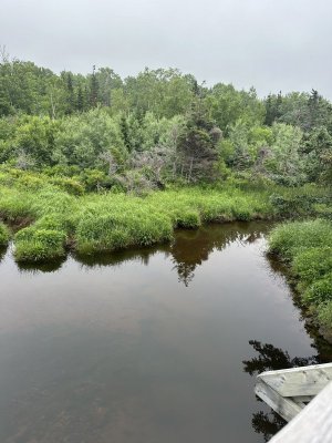 IMG_5031.jpeg