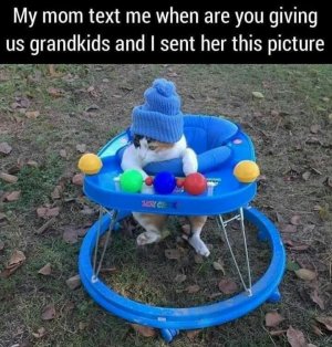 grands.jpg