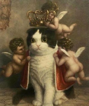 kingcat.jpg