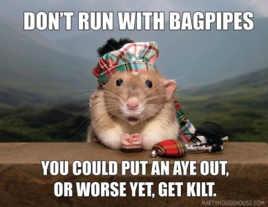 bagpipes.jpg