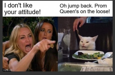 btrgtefgwedfa.jpg