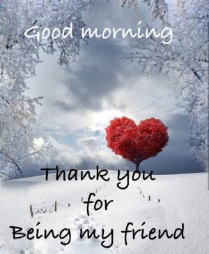 0206c1be703b3a79ecdcd1a8cd60d443[1].jpg