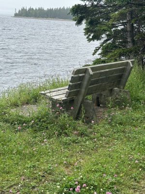 IMG_5071.jpeg