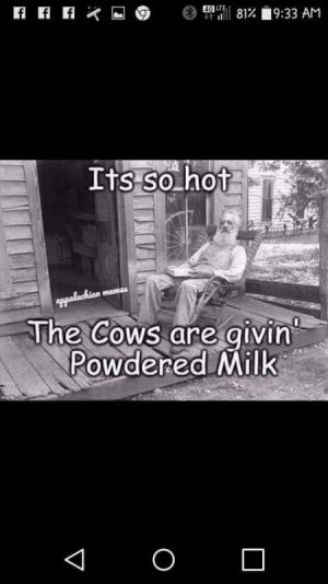 IMG_8102.jpeg