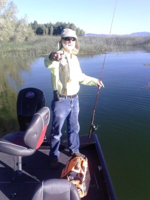 51 Fish 7-8-17.jpg