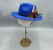 blue hat.jpg