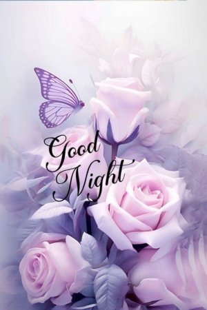 0200bf2ea4f448b6c5127e2a0eca68ed.jpg
