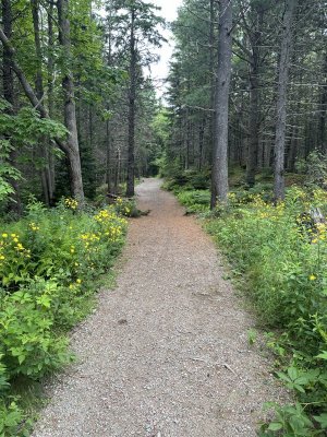IMG_5091.jpeg