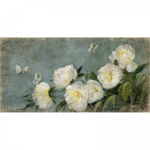 ALF00992DC 200x100cm-1100x1100.jpg