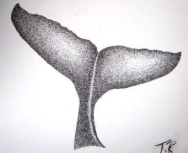 The Tail.JPG