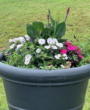 IMG_5108.jpeg