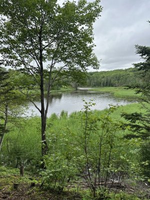 IMG_5129.jpeg