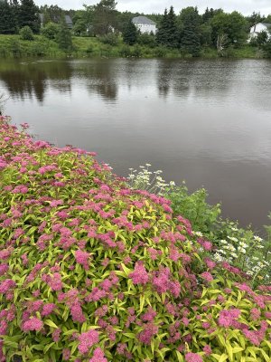 IMG_5105.jpeg