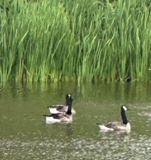 IMG_5107.jpeg