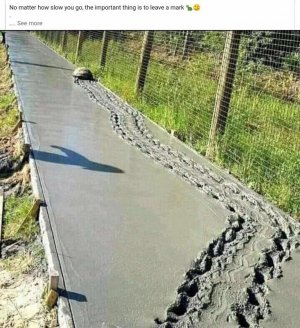 received_441863095384380.jpeg