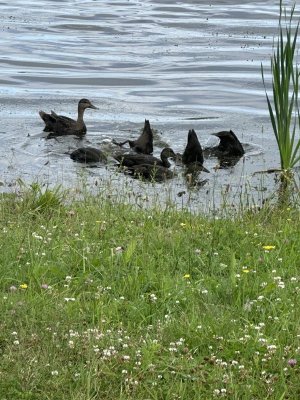 IMG_5141.jpeg