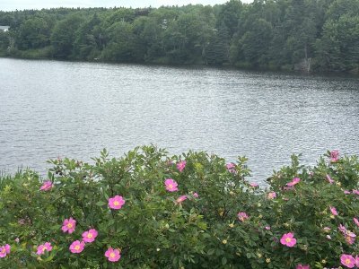 IMG_5152.jpeg