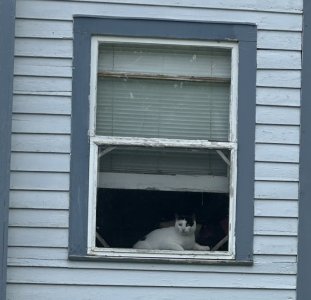IMG_5147.jpeg