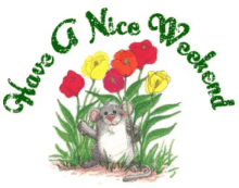 have-a-nice-weekend-greeting.gif
